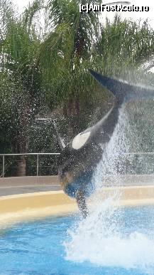 [P27] Saritura de nota 10..... » foto by irinagh
 - 
<span class="allrVoted glyphicon glyphicon-heart hidden" id="av130458"></span>
<a class="m-l-10 hidden" id="sv130458" onclick="voting_Foto_DelVot(,130458,2078)" role="button">șterge vot <span class="glyphicon glyphicon-remove"></span></a>
<a id="v9130458" class=" c-red"  onclick="voting_Foto_SetVot(130458)" role="button"><span class="glyphicon glyphicon-heart-empty"></span> <b>LIKE</b> = Votează poza</a> <img class="hidden"  id="f130458W9" src="/imagini/loader.gif" border="0" /><span class="AjErrMes hidden" id="e130458ErM"></span>