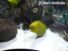 [P63] Morena... » foto by irinagh
 - 
<span class="allrVoted glyphicon glyphicon-heart hidden" id="av130576"></span>
<a class="m-l-10 hidden" id="sv130576" onclick="voting_Foto_DelVot(,130576,2078)" role="button">șterge vot <span class="glyphicon glyphicon-remove"></span></a>
<a id="v9130576" class=" c-red"  onclick="voting_Foto_SetVot(130576)" role="button"><span class="glyphicon glyphicon-heart-empty"></span> <b>LIKE</b> = Votează poza</a> <img class="hidden"  id="f130576W9" src="/imagini/loader.gif" border="0" /><span class="AjErrMes hidden" id="e130576ErM"></span>