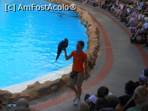 [P10] Puerto de la Cruz - Loro Parque. La spectacol. » foto by iulianic
 - 
<span class="allrVoted glyphicon glyphicon-heart hidden" id="av1424691"></span>
<a class="m-l-10 hidden" id="sv1424691" onclick="voting_Foto_DelVot(,1424691,2078)" role="button">șterge vot <span class="glyphicon glyphicon-remove"></span></a>
<a id="v91424691" class=" c-red"  onclick="voting_Foto_SetVot(1424691)" role="button"><span class="glyphicon glyphicon-heart-empty"></span> <b>LIKE</b> = Votează poza</a> <img class="hidden"  id="f1424691W9" src="/imagini/loader.gif" border="0" /><span class="AjErrMes hidden" id="e1424691ErM"></span>