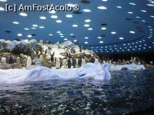 [P24]  -- <small>// FĂRĂ DESCRIERE</small> » foto by iulianic
 - 
<span class="allrVoted glyphicon glyphicon-heart hidden" id="av1424705"></span>
<a class="m-l-10 hidden" id="sv1424705" onclick="voting_Foto_DelVot(,1424705,2078)" role="button">șterge vot <span class="glyphicon glyphicon-remove"></span></a>
<a id="v91424705" class=" c-red"  onclick="voting_Foto_SetVot(1424705)" role="button"><span class="glyphicon glyphicon-heart-empty"></span> <b>LIKE</b> = Votează poza</a> <img class="hidden"  id="f1424705W9" src="/imagini/loader.gif" border="0" /><span class="AjErrMes hidden" id="e1424705ErM"></span>