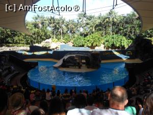 [P27]  -- <small>// FĂRĂ DESCRIERE</small> » foto by iulianic
 - 
<span class="allrVoted glyphicon glyphicon-heart hidden" id="av1424708"></span>
<a class="m-l-10 hidden" id="sv1424708" onclick="voting_Foto_DelVot(,1424708,2078)" role="button">șterge vot <span class="glyphicon glyphicon-remove"></span></a>
<a id="v91424708" class=" c-red"  onclick="voting_Foto_SetVot(1424708)" role="button"><span class="glyphicon glyphicon-heart-empty"></span> <b>LIKE</b> = Votează poza</a> <img class="hidden"  id="f1424708W9" src="/imagini/loader.gif" border="0" /><span class="AjErrMes hidden" id="e1424708ErM"></span>