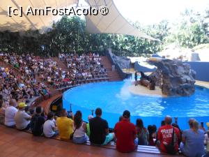 [P28]  -- <small>// FĂRĂ DESCRIERE</small> » foto by iulianic
 - 
<span class="allrVoted glyphicon glyphicon-heart hidden" id="av1424709"></span>
<a class="m-l-10 hidden" id="sv1424709" onclick="voting_Foto_DelVot(,1424709,2078)" role="button">șterge vot <span class="glyphicon glyphicon-remove"></span></a>
<a id="v91424709" class=" c-red"  onclick="voting_Foto_SetVot(1424709)" role="button"><span class="glyphicon glyphicon-heart-empty"></span> <b>LIKE</b> = Votează poza</a> <img class="hidden"  id="f1424709W9" src="/imagini/loader.gif" border="0" /><span class="AjErrMes hidden" id="e1424709ErM"></span>