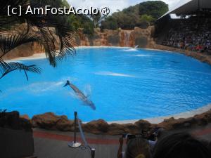 [P37]  -- <small>// FĂRĂ DESCRIERE</small> » foto by iulianic
 - 
<span class="allrVoted glyphicon glyphicon-heart hidden" id="av1424718"></span>
<a class="m-l-10 hidden" id="sv1424718" onclick="voting_Foto_DelVot(,1424718,2078)" role="button">șterge vot <span class="glyphicon glyphicon-remove"></span></a>
<a id="v91424718" class=" c-red"  onclick="voting_Foto_SetVot(1424718)" role="button"><span class="glyphicon glyphicon-heart-empty"></span> <b>LIKE</b> = Votează poza</a> <img class="hidden"  id="f1424718W9" src="/imagini/loader.gif" border="0" /><span class="AjErrMes hidden" id="e1424718ErM"></span>