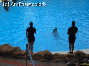 [P40]  -- <small>// FĂRĂ DESCRIERE</small> » foto by iulianic
 - 
<span class="allrVoted glyphicon glyphicon-heart hidden" id="av1424721"></span>
<a class="m-l-10 hidden" id="sv1424721" onclick="voting_Foto_DelVot(,1424721,2078)" role="button">șterge vot <span class="glyphicon glyphicon-remove"></span></a>
<a id="v91424721" class=" c-red"  onclick="voting_Foto_SetVot(1424721)" role="button"><span class="glyphicon glyphicon-heart-empty"></span> <b>LIKE</b> = Votează poza</a> <img class="hidden"  id="f1424721W9" src="/imagini/loader.gif" border="0" /><span class="AjErrMes hidden" id="e1424721ErM"></span>