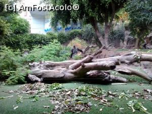 [P10] peisajul din parc » foto by elenaadina
 - 
<span class="allrVoted glyphicon glyphicon-heart hidden" id="av822445"></span>
<a class="m-l-10 hidden" id="sv822445" onclick="voting_Foto_DelVot(,822445,2078)" role="button">șterge vot <span class="glyphicon glyphicon-remove"></span></a>
<a id="v9822445" class=" c-red"  onclick="voting_Foto_SetVot(822445)" role="button"><span class="glyphicon glyphicon-heart-empty"></span> <b>LIKE</b> = Votează poza</a> <img class="hidden"  id="f822445W9" src="/imagini/loader.gif" border="0" /><span class="AjErrMes hidden" id="e822445ErM"></span>