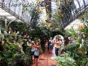 [P12] si multe orhidee » foto by elenaadina
 - 
<span class="allrVoted glyphicon glyphicon-heart hidden" id="av822447"></span>
<a class="m-l-10 hidden" id="sv822447" onclick="voting_Foto_DelVot(,822447,2078)" role="button">șterge vot <span class="glyphicon glyphicon-remove"></span></a>
<a id="v9822447" class=" c-red"  onclick="voting_Foto_SetVot(822447)" role="button"><span class="glyphicon glyphicon-heart-empty"></span> <b>LIKE</b> = Votează poza</a> <img class="hidden"  id="f822447W9" src="/imagini/loader.gif" border="0" /><span class="AjErrMes hidden" id="e822447ErM"></span>