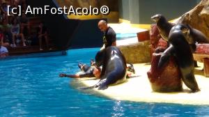 [P18] dresate sa dea primul ajutor » foto by elenaadina
 - 
<span class="allrVoted glyphicon glyphicon-heart hidden" id="av822453"></span>
<a class="m-l-10 hidden" id="sv822453" onclick="voting_Foto_DelVot(,822453,2078)" role="button">șterge vot <span class="glyphicon glyphicon-remove"></span></a>
<a id="v9822453" class=" c-red"  onclick="voting_Foto_SetVot(822453)" role="button"><span class="glyphicon glyphicon-heart-empty"></span> <b>LIKE</b> = Votează poza</a> <img class="hidden"  id="f822453W9" src="/imagini/loader.gif" border="0" /><span class="AjErrMes hidden" id="e822453ErM"></span>