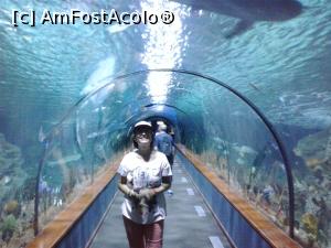 [P20] in minunata lume acvatica » foto by elenaadina
 - 
<span class="allrVoted glyphicon glyphicon-heart hidden" id="av822455"></span>
<a class="m-l-10 hidden" id="sv822455" onclick="voting_Foto_DelVot(,822455,2078)" role="button">șterge vot <span class="glyphicon glyphicon-remove"></span></a>
<a id="v9822455" class=" c-red"  onclick="voting_Foto_SetVot(822455)" role="button"><span class="glyphicon glyphicon-heart-empty"></span> <b>LIKE</b> = Votează poza</a> <img class="hidden"  id="f822455W9" src="/imagini/loader.gif" border="0" /><span class="AjErrMes hidden" id="e822455ErM"></span>