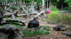 [P21] din pacate era suparata si ne-a intors spatele » foto by elenaadina
 - 
<span class="allrVoted glyphicon glyphicon-heart hidden" id="av822456"></span>
<a class="m-l-10 hidden" id="sv822456" onclick="voting_Foto_DelVot(,822456,2078)" role="button">șterge vot <span class="glyphicon glyphicon-remove"></span></a>
<a id="v9822456" class=" c-red"  onclick="voting_Foto_SetVot(822456)" role="button"><span class="glyphicon glyphicon-heart-empty"></span> <b>LIKE</b> = Votează poza</a> <img class="hidden"  id="f822456W9" src="/imagini/loader.gif" border="0" /><span class="AjErrMes hidden" id="e822456ErM"></span>