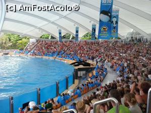 [P03] spectacolul cu orci » foto by elenaadina
 - 
<span class="allrVoted glyphicon glyphicon-heart hidden" id="av822438"></span>
<a class="m-l-10 hidden" id="sv822438" onclick="voting_Foto_DelVot(,822438,2078)" role="button">șterge vot <span class="glyphicon glyphicon-remove"></span></a>
<a id="v9822438" class=" c-red"  onclick="voting_Foto_SetVot(822438)" role="button"><span class="glyphicon glyphicon-heart-empty"></span> <b>LIKE</b> = Votează poza</a> <img class="hidden"  id="f822438W9" src="/imagini/loader.gif" border="0" /><span class="AjErrMes hidden" id="e822438ErM"></span>