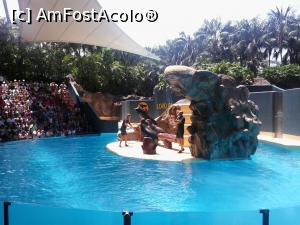 [P06] spectacolul cu morse » foto by elenaadina
 - 
<span class="allrVoted glyphicon glyphicon-heart hidden" id="av822441"></span>
<a class="m-l-10 hidden" id="sv822441" onclick="voting_Foto_DelVot(,822441,2078)" role="button">șterge vot <span class="glyphicon glyphicon-remove"></span></a>
<a id="v9822441" class=" c-red"  onclick="voting_Foto_SetVot(822441)" role="button"><span class="glyphicon glyphicon-heart-empty"></span> <b>LIKE</b> = Votează poza</a> <img class="hidden"  id="f822441W9" src="/imagini/loader.gif" border="0" /><span class="AjErrMes hidden" id="e822441ErM"></span>