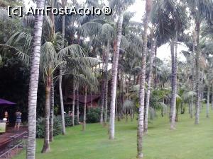 [P09] in parc » foto by elenaadina
 - 
<span class="allrVoted glyphicon glyphicon-heart hidden" id="av822444"></span>
<a class="m-l-10 hidden" id="sv822444" onclick="voting_Foto_DelVot(,822444,2078)" role="button">șterge vot <span class="glyphicon glyphicon-remove"></span></a>
<a id="v9822444" class=" c-red"  onclick="voting_Foto_SetVot(822444)" role="button"><span class="glyphicon glyphicon-heart-empty"></span> <b>LIKE</b> = Votează poza</a> <img class="hidden"  id="f822444W9" src="/imagini/loader.gif" border="0" /><span class="AjErrMes hidden" id="e822444ErM"></span>