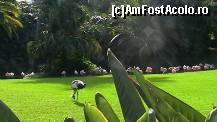[P14] gradina de flamingo » foto by ghecamelia
 - 
<span class="allrVoted glyphicon glyphicon-heart hidden" id="av50620"></span>
<a class="m-l-10 hidden" id="sv50620" onclick="voting_Foto_DelVot(,50620,2078)" role="button">șterge vot <span class="glyphicon glyphicon-remove"></span></a>
<a id="v950620" class=" c-red"  onclick="voting_Foto_SetVot(50620)" role="button"><span class="glyphicon glyphicon-heart-empty"></span> <b>LIKE</b> = Votează poza</a> <img class="hidden"  id="f50620W9" src="/imagini/loader.gif" border="0" /><span class="AjErrMes hidden" id="e50620ErM"></span>