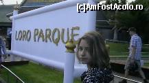 [P02] intrarea la LORO PARQUE » foto by ghecamelia
 - 
<span class="allrVoted glyphicon glyphicon-heart hidden" id="av50608"></span>
<a class="m-l-10 hidden" id="sv50608" onclick="voting_Foto_DelVot(,50608,2078)" role="button">șterge vot <span class="glyphicon glyphicon-remove"></span></a>
<a id="v950608" class=" c-red"  onclick="voting_Foto_SetVot(50608)" role="button"><span class="glyphicon glyphicon-heart-empty"></span> <b>LIKE</b> = Votează poza</a> <img class="hidden"  id="f50608W9" src="/imagini/loader.gif" border="0" /><span class="AjErrMes hidden" id="e50608ErM"></span>