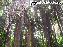 [P14] Jungla din  Loro Park..singura din Europa » foto by cami1212
 - 
<span class="allrVoted glyphicon glyphicon-heart hidden" id="av189046"></span>
<a class="m-l-10 hidden" id="sv189046" onclick="voting_Foto_DelVot(,189046,2078)" role="button">șterge vot <span class="glyphicon glyphicon-remove"></span></a>
<a id="v9189046" class=" c-red"  onclick="voting_Foto_SetVot(189046)" role="button"><span class="glyphicon glyphicon-heart-empty"></span> <b>LIKE</b> = Votează poza</a> <img class="hidden"  id="f189046W9" src="/imagini/loader.gif" border="0" /><span class="AjErrMes hidden" id="e189046ErM"></span>