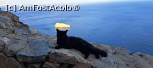 [P49] O localnică pe zidul mănăstirii » foto by irinad
 - 
<span class="allrVoted glyphicon glyphicon-heart hidden" id="av1495874"></span>
<a class="m-l-10 hidden" id="sv1495874" onclick="voting_Foto_DelVot(,1495874,2089)" role="button">șterge vot <span class="glyphicon glyphicon-remove"></span></a>
<a id="v91495874" class=" c-red"  onclick="voting_Foto_SetVot(1495874)" role="button"><span class="glyphicon glyphicon-heart-empty"></span> <b>LIKE</b> = Votează poza</a> <img class="hidden"  id="f1495874W9" src="/imagini/loader.gif" border="0" /><span class="AjErrMes hidden" id="e1495874ErM"></span>