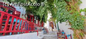 [P51] Tavernă în Chora Amorgos » foto by irinad
 - 
<span class="allrVoted glyphicon glyphicon-heart hidden" id="av1495876"></span>
<a class="m-l-10 hidden" id="sv1495876" onclick="voting_Foto_DelVot(,1495876,2089)" role="button">șterge vot <span class="glyphicon glyphicon-remove"></span></a>
<a id="v91495876" class=" c-red"  onclick="voting_Foto_SetVot(1495876)" role="button"><span class="glyphicon glyphicon-heart-empty"></span> <b>LIKE</b> = Votează poza</a> <img class="hidden"  id="f1495876W9" src="/imagini/loader.gif" border="0" /><span class="AjErrMes hidden" id="e1495876ErM"></span>