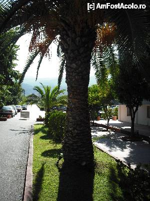 [P13] calea de acces in hotel in fata este o parcare pazita in incinta » foto by magdan*
 - 
<span class="allrVoted glyphicon glyphicon-heart hidden" id="av257511"></span>
<a class="m-l-10 hidden" id="sv257511" onclick="voting_Foto_DelVot(,257511,2114)" role="button">șterge vot <span class="glyphicon glyphicon-remove"></span></a>
<a id="v9257511" class=" c-red"  onclick="voting_Foto_SetVot(257511)" role="button"><span class="glyphicon glyphicon-heart-empty"></span> <b>LIKE</b> = Votează poza</a> <img class="hidden"  id="f257511W9" src="/imagini/loader.gif" border="0" /><span class="AjErrMes hidden" id="e257511ErM"></span>