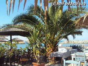 [P18] Taverna in port » foto by MARI13
 - 
<span class="allrVoted glyphicon glyphicon-heart hidden" id="av360120"></span>
<a class="m-l-10 hidden" id="sv360120" onclick="voting_Foto_DelVot(,360120,2114)" role="button">șterge vot <span class="glyphicon glyphicon-remove"></span></a>
<a id="v9360120" class=" c-red"  onclick="voting_Foto_SetVot(360120)" role="button"><span class="glyphicon glyphicon-heart-empty"></span> <b>LIKE</b> = Votează poza</a> <img class="hidden"  id="f360120W9" src="/imagini/loader.gif" border="0" /><span class="AjErrMes hidden" id="e360120ErM"></span>