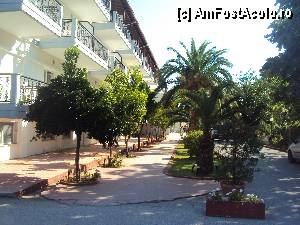 [P27] Hotelul Sun Beach » foto by MARI13
 - 
<span class="allrVoted glyphicon glyphicon-heart hidden" id="av360175"></span>
<a class="m-l-10 hidden" id="sv360175" onclick="voting_Foto_DelVot(,360175,2114)" role="button">șterge vot <span class="glyphicon glyphicon-remove"></span></a>
<a id="v9360175" class=" c-red"  onclick="voting_Foto_SetVot(360175)" role="button"><span class="glyphicon glyphicon-heart-empty"></span> <b>LIKE</b> = Votează poza</a> <img class="hidden"  id="f360175W9" src="/imagini/loader.gif" border="0" /><span class="AjErrMes hidden" id="e360175ErM"></span>