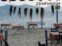 [P17] Agia Chiriachi - meniul zilei » foto by Patzy
 - 
<span class="allrVoted glyphicon glyphicon-heart hidden" id="av236306"></span>
<a class="m-l-10 hidden" id="sv236306" onclick="voting_Foto_DelVot(,236306,2124)" role="button">șterge vot <span class="glyphicon glyphicon-remove"></span></a>
<a id="v9236306" class=" c-red"  onclick="voting_Foto_SetVot(236306)" role="button"><span class="glyphicon glyphicon-heart-empty"></span> <b>LIKE</b> = Votează poza</a> <img class="hidden"  id="f236306W9" src="/imagini/loader.gif" border="0" /><span class="AjErrMes hidden" id="e236306ErM"></span>
