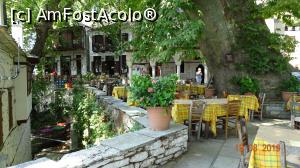 [P14] Platanul cu trunchiul gol din Makrinitsa » foto by mecut
 - 
<span class="allrVoted glyphicon glyphicon-heart hidden" id="av1105193"></span>
<a class="m-l-10 hidden" id="sv1105193" onclick="voting_Foto_DelVot(,1105193,2124)" role="button">șterge vot <span class="glyphicon glyphicon-remove"></span></a>
<a id="v91105193" class=" c-red"  onclick="voting_Foto_SetVot(1105193)" role="button"><span class="glyphicon glyphicon-heart-empty"></span> <b>LIKE</b> = Votează poza</a> <img class="hidden"  id="f1105193W9" src="/imagini/loader.gif" border="0" /><span class="AjErrMes hidden" id="e1105193ErM"></span>