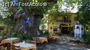 [P09] Taverna Agnanti si al ei platan batran, Tsagkarada » foto by mecut
 - 
<span class="allrVoted glyphicon glyphicon-heart hidden" id="av1105188"></span>
<a class="m-l-10 hidden" id="sv1105188" onclick="voting_Foto_DelVot(,1105188,2124)" role="button">șterge vot <span class="glyphicon glyphicon-remove"></span></a>
<a id="v91105188" class=" c-red"  onclick="voting_Foto_SetVot(1105188)" role="button"><span class="glyphicon glyphicon-heart-empty"></span> <b>LIKE</b> = Votează poza</a> <img class="hidden"  id="f1105188W9" src="/imagini/loader.gif" border="0" /><span class="AjErrMes hidden" id="e1105188ErM"></span>
