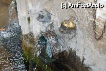 [P15] makrinitza » foto by Cristian_h
 - 
<span class="allrVoted glyphicon glyphicon-heart hidden" id="av6481"></span>
<a class="m-l-10 hidden" id="sv6481" onclick="voting_Foto_DelVot(,6481,2124)" role="button">șterge vot <span class="glyphicon glyphicon-remove"></span></a>
<a id="v96481" class=" c-red"  onclick="voting_Foto_SetVot(6481)" role="button"><span class="glyphicon glyphicon-heart-empty"></span> <b>LIKE</b> = Votează poza</a> <img class="hidden"  id="f6481W9" src="/imagini/loader.gif" border="0" /><span class="AjErrMes hidden" id="e6481ErM"></span>