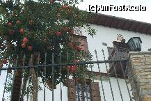 [P05] Casele sunt decorate cu obloane de lemn si desene imitand ferestrele » foto by Cristian_h
 - 
<span class="allrVoted glyphicon glyphicon-heart hidden" id="av187533"></span>
<a class="m-l-10 hidden" id="sv187533" onclick="voting_Foto_DelVot(,187533,2124)" role="button">șterge vot <span class="glyphicon glyphicon-remove"></span></a>
<a id="v9187533" class=" c-red"  onclick="voting_Foto_SetVot(187533)" role="button"><span class="glyphicon glyphicon-heart-empty"></span> <b>LIKE</b> = Votează poza</a> <img class="hidden"  id="f187533W9" src="/imagini/loader.gif" border="0" /><span class="AjErrMes hidden" id="e187533ErM"></span>