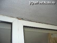 [P10]  -- <small>// FĂRĂ DESCRIERE</small> » foto by sisisi
 - 
<span class="allrVoted glyphicon glyphicon-heart hidden" id="av75808"></span>
<a class="m-l-10 hidden" id="sv75808" onclick="voting_Foto_DelVot(,75808,2141)" role="button">șterge vot <span class="glyphicon glyphicon-remove"></span></a>
<a id="v975808" class=" c-red"  onclick="voting_Foto_SetVot(75808)" role="button"><span class="glyphicon glyphicon-heart-empty"></span> <b>LIKE</b> = Votează poza</a> <img class="hidden"  id="f75808W9" src="/imagini/loader.gif" border="0" /><span class="AjErrMes hidden" id="e75808ErM"></span>