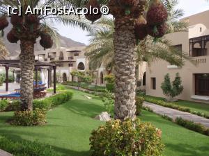 [P05] In complex » foto by bubica*
 - 
<span class="allrVoted glyphicon glyphicon-heart hidden" id="av1105825"></span>
<a class="m-l-10 hidden" id="sv1105825" onclick="voting_Foto_DelVot(,1105825,2142)" role="button">șterge vot <span class="glyphicon glyphicon-remove"></span></a>
<a id="v91105825" class=" c-red"  onclick="voting_Foto_SetVot(1105825)" role="button"><span class="glyphicon glyphicon-heart-empty"></span> <b>LIKE</b> = Votează poza</a> <img class="hidden"  id="f1105825W9" src="/imagini/loader.gif" border="0" /><span class="AjErrMes hidden" id="e1105825ErM"></span>