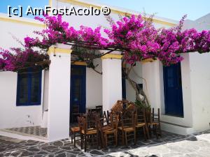 [P12] Plaka - o terasă încă hibernând sub o superbă boltă florală » foto by crismis
 - 
<span class="allrVoted glyphicon glyphicon-heart hidden" id="av1171167"></span>
<a class="m-l-10 hidden" id="sv1171167" onclick="voting_Foto_DelVot(,1171167,2166)" role="button">șterge vot <span class="glyphicon glyphicon-remove"></span></a>
<a id="v91171167" class=" c-red"  onclick="voting_Foto_SetVot(1171167)" role="button"><span class="glyphicon glyphicon-heart-empty"></span> <b>LIKE</b> = Votează poza</a> <img class="hidden"  id="f1171167W9" src="/imagini/loader.gif" border="0" /><span class="AjErrMes hidden" id="e1171167ErM"></span>