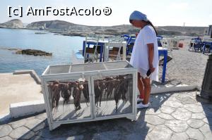 [P02] Milos, Mantrakia » foto by doricuta
 - 
<span class="allrVoted glyphicon glyphicon-heart hidden" id="av1116988"></span>
<a class="m-l-10 hidden" id="sv1116988" onclick="voting_Foto_DelVot(,1116988,2166)" role="button">șterge vot <span class="glyphicon glyphicon-remove"></span></a>
<a id="v91116988" class=" c-red"  onclick="voting_Foto_SetVot(1116988)" role="button"><span class="glyphicon glyphicon-heart-empty"></span> <b>LIKE</b> = Votează poza</a> <img class="hidden"  id="f1116988W9" src="/imagini/loader.gif" border="0" /><span class="AjErrMes hidden" id="e1116988ErM"></span>