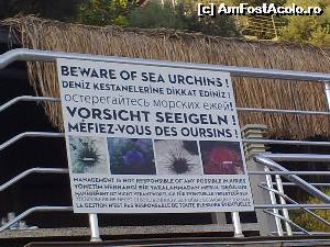 [P15] Onyria Claros Beach - avertisment de pe plaja pentru adulți. in spate este un alt snack bar » foto by nicole33
 - 
<span class="allrVoted glyphicon glyphicon-heart hidden" id="av552913"></span>
<a class="m-l-10 hidden" id="sv552913" onclick="voting_Foto_DelVot(,552913,2171)" role="button">șterge vot <span class="glyphicon glyphicon-remove"></span></a>
<a id="v9552913" class=" c-red"  onclick="voting_Foto_SetVot(552913)" role="button"><span class="glyphicon glyphicon-heart-empty"></span> <b>LIKE</b> = Votează poza</a> <img class="hidden"  id="f552913W9" src="/imagini/loader.gif" border="0" /><span class="AjErrMes hidden" id="e552913ErM"></span>