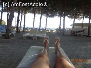 [P11] la umbra sub pini » foto by nrs †
 - 
<span class="allrVoted glyphicon glyphicon-heart hidden" id="av1018739"></span>
<a class="m-l-10 hidden" id="sv1018739" onclick="voting_Foto_DelVot(,1018739,2171)" role="button">șterge vot <span class="glyphicon glyphicon-remove"></span></a>
<a id="v91018739" class=" c-red"  onclick="voting_Foto_SetVot(1018739)" role="button"><span class="glyphicon glyphicon-heart-empty"></span> <b>LIKE</b> = Votează poza</a> <img class="hidden"  id="f1018739W9" src="/imagini/loader.gif" border="0" /><span class="AjErrMes hidden" id="e1018739ErM"></span>