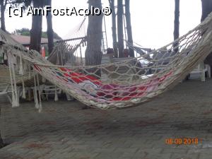 [P12] hamace la umbra » foto by nrs †
 - 
<span class="allrVoted glyphicon glyphicon-heart hidden" id="av1018740"></span>
<a class="m-l-10 hidden" id="sv1018740" onclick="voting_Foto_DelVot(,1018740,2171)" role="button">șterge vot <span class="glyphicon glyphicon-remove"></span></a>
<a id="v91018740" class=" c-red"  onclick="voting_Foto_SetVot(1018740)" role="button"><span class="glyphicon glyphicon-heart-empty"></span> <b>LIKE</b> = Votează poza</a> <img class="hidden"  id="f1018740W9" src="/imagini/loader.gif" border="0" /><span class="AjErrMes hidden" id="e1018740ErM"></span>