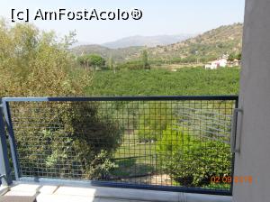 [P04] micutul balcon sau balconasul » foto by nrs †
 - 
<span class="allrVoted glyphicon glyphicon-heart hidden" id="av1018732"></span>
<a class="m-l-10 hidden" id="sv1018732" onclick="voting_Foto_DelVot(,1018732,2171)" role="button">șterge vot <span class="glyphicon glyphicon-remove"></span></a>
<a id="v91018732" class=" c-red"  onclick="voting_Foto_SetVot(1018732)" role="button"><span class="glyphicon glyphicon-heart-empty"></span> <b>LIKE</b> = Votează poza</a> <img class="hidden"  id="f1018732W9" src="/imagini/loader.gif" border="0" /><span class="AjErrMes hidden" id="e1018732ErM"></span>