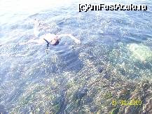 [P07] snorkeling la carpe diem claros - adult beach » foto by criss65
 - 
<span class="allrVoted glyphicon glyphicon-heart hidden" id="av45516"></span>
<a class="m-l-10 hidden" id="sv45516" onclick="voting_Foto_DelVot(,45516,2171)" role="button">șterge vot <span class="glyphicon glyphicon-remove"></span></a>
<a id="v945516" class=" c-red"  onclick="voting_Foto_SetVot(45516)" role="button"><span class="glyphicon glyphicon-heart-empty"></span> <b>LIKE</b> = Votează poza</a> <img class="hidden"  id="f45516W9" src="/imagini/loader.gif" border="0" /><span class="AjErrMes hidden" id="e45516ErM"></span>
