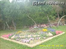 [P13]  -- <small>// FĂRĂ DESCRIERE</small> » foto by karinutza2001
 - 
<span class="allrVoted glyphicon glyphicon-heart hidden" id="av83497"></span>
<a class="m-l-10 hidden" id="sv83497" onclick="voting_Foto_DelVot(,83497,2171)" role="button">șterge vot <span class="glyphicon glyphicon-remove"></span></a>
<a id="v983497" class=" c-red"  onclick="voting_Foto_SetVot(83497)" role="button"><span class="glyphicon glyphicon-heart-empty"></span> <b>LIKE</b> = Votează poza</a> <img class="hidden"  id="f83497W9" src="/imagini/loader.gif" border="0" /><span class="AjErrMes hidden" id="e83497ErM"></span>