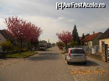 [P02] Minunata straduta pe care se gaseste pensiunea si masina noastra. Se poate parca linistit si in afara curtii. » foto by LidiaV
 - 
<span class="allrVoted glyphicon glyphicon-heart hidden" id="av312378"></span>
<a class="m-l-10 hidden" id="sv312378" onclick="voting_Foto_DelVot(,312378,2192)" role="button">șterge vot <span class="glyphicon glyphicon-remove"></span></a>
<a id="v9312378" class=" c-red"  onclick="voting_Foto_SetVot(312378)" role="button"><span class="glyphicon glyphicon-heart-empty"></span> <b>LIKE</b> = Votează poza</a> <img class="hidden"  id="f312378W9" src="/imagini/loader.gif" border="0" /><span class="AjErrMes hidden" id="e312378ErM"></span>