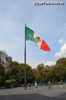 [P02] Drapelul Mexicului » foto by Vasile S
 - 
<span class="allrVoted glyphicon glyphicon-heart hidden" id="av497583"></span>
<a class="m-l-10 hidden" id="sv497583" onclick="voting_Foto_DelVot(,497583,2210)" role="button">șterge vot <span class="glyphicon glyphicon-remove"></span></a>
<a id="v9497583" class=" c-red"  onclick="voting_Foto_SetVot(497583)" role="button"><span class="glyphicon glyphicon-heart-empty"></span> <b>LIKE</b> = Votează poza</a> <img class="hidden"  id="f497583W9" src="/imagini/loader.gif" border="0" /><span class="AjErrMes hidden" id="e497583ErM"></span>