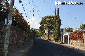 [P26] Strada Cerritos cu Bougainvillea şi arborele tulipan, în floare » foto by Vasile S
 - 
<span class="allrVoted glyphicon glyphicon-heart hidden" id="av539293"></span>
<a class="m-l-10 hidden" id="sv539293" onclick="voting_Foto_DelVot(,539293,2210)" role="button">șterge vot <span class="glyphicon glyphicon-remove"></span></a>
<a id="v9539293" class=" c-red"  onclick="voting_Foto_SetVot(539293)" role="button"><span class="glyphicon glyphicon-heart-empty"></span> <b>LIKE</b> = Votează poza</a> <img class="hidden"  id="f539293W9" src="/imagini/loader.gif" border="0" /><span class="AjErrMes hidden" id="e539293ErM"></span>