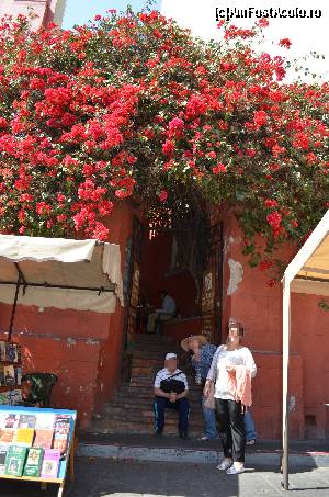 [P08] O poartă acoperită cu Bougainvillea » foto by Vasile S
 - 
<span class="allrVoted glyphicon glyphicon-heart hidden" id="av539207"></span>
<a class="m-l-10 hidden" id="sv539207" onclick="voting_Foto_DelVot(,539207,2210)" role="button">șterge vot <span class="glyphicon glyphicon-remove"></span></a>
<a id="v9539207" class=" c-red"  onclick="voting_Foto_SetVot(539207)" role="button"><span class="glyphicon glyphicon-heart-empty"></span> <b>LIKE</b> = Votează poza</a> <img class="hidden"  id="f539207W9" src="/imagini/loader.gif" border="0" /><span class="AjErrMes hidden" id="e539207ErM"></span>