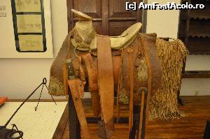 [P11] Şa mexicană » foto by Vasile S
 - 
<span class="allrVoted glyphicon glyphicon-heart hidden" id="av539456"></span>
<a class="m-l-10 hidden" id="sv539456" onclick="voting_Foto_DelVot(,539456,2210)" role="button">șterge vot <span class="glyphicon glyphicon-remove"></span></a>
<a id="v9539456" class=" c-red"  onclick="voting_Foto_SetVot(539456)" role="button"><span class="glyphicon glyphicon-heart-empty"></span> <b>LIKE</b> = Votează poza</a> <img class="hidden"  id="f539456W9" src="/imagini/loader.gif" border="0" /><span class="AjErrMes hidden" id="e539456ErM"></span>