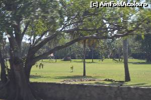 [P05] Teren de golf în Acapulco » foto by Vasile S
 - 
<span class="allrVoted glyphicon glyphicon-heart hidden" id="av540603"></span>
<a class="m-l-10 hidden" id="sv540603" onclick="voting_Foto_DelVot(,540603,2210)" role="button">șterge vot <span class="glyphicon glyphicon-remove"></span></a>
<a id="v9540603" class=" c-red"  onclick="voting_Foto_SetVot(540603)" role="button"><span class="glyphicon glyphicon-heart-empty"></span> <b>LIKE</b> = Votează poza</a> <img class="hidden"  id="f540603W9" src="/imagini/loader.gif" border="0" /><span class="AjErrMes hidden" id="e540603ErM"></span>