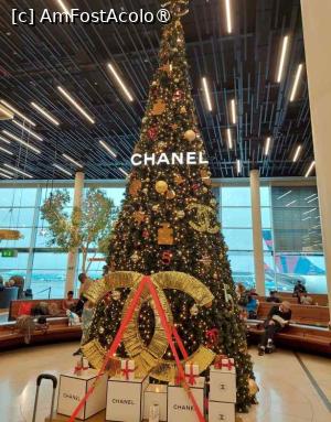 [P02] La aeroport bradul era gata » foto by BOGDAN DSN
 - 
<span class="allrVoted glyphicon glyphicon-heart hidden" id="av1405699"></span>
<a class="m-l-10 hidden" id="sv1405699" onclick="voting_Foto_DelVot(,1405699,2210)" role="button">șterge vot <span class="glyphicon glyphicon-remove"></span></a>
<a id="v91405699" class=" c-red"  onclick="voting_Foto_SetVot(1405699)" role="button"><span class="glyphicon glyphicon-heart-empty"></span> <b>LIKE</b> = Votează poza</a> <img class="hidden"  id="f1405699W9" src="/imagini/loader.gif" border="0" /><span class="AjErrMes hidden" id="e1405699ErM"></span>