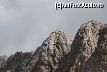 [P39] gr. marmolada » foto by mariana
 - 
<span class="allrVoted glyphicon glyphicon-heart hidden" id="av17076"></span>
<a class="m-l-10 hidden" id="sv17076" onclick="voting_Foto_DelVot(,17076,2211)" role="button">șterge vot <span class="glyphicon glyphicon-remove"></span></a>
<a id="v917076" class=" c-red"  onclick="voting_Foto_SetVot(17076)" role="button"><span class="glyphicon glyphicon-heart-empty"></span> <b>LIKE</b> = Votează poza</a> <img class="hidden"  id="f17076W9" src="/imagini/loader.gif" border="0" /><span class="AjErrMes hidden" id="e17076ErM"></span>