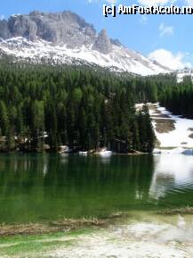 [P10] lacul carezza » foto by Cristian_h
 - 
<span class="allrVoted glyphicon glyphicon-heart hidden" id="av8807"></span>
<a class="m-l-10 hidden" id="sv8807" onclick="voting_Foto_DelVot(,8807,2211)" role="button">șterge vot <span class="glyphicon glyphicon-remove"></span></a>
<a id="v98807" class=" c-red"  onclick="voting_Foto_SetVot(8807)" role="button"><span class="glyphicon glyphicon-heart-empty"></span> <b>LIKE</b> = Votează poza</a> <img class="hidden"  id="f8807W9" src="/imagini/loader.gif" border="0" /><span class="AjErrMes hidden" id="e8807ErM"></span>