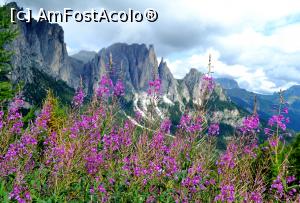 [P08] Muntii Dolomiti in toata splendoarea lor » foto by BOGDAN DSN
 - 
<span class="allrVoted glyphicon glyphicon-heart hidden" id="av711795"></span>
<a class="m-l-10 hidden" id="sv711795" onclick="voting_Foto_DelVot(,711795,2211)" role="button">șterge vot <span class="glyphicon glyphicon-remove"></span></a>
<a id="v9711795" class=" c-red"  onclick="voting_Foto_SetVot(711795)" role="button"><span class="glyphicon glyphicon-heart-empty"></span> <b>LIKE</b> = Votează poza</a> <img class="hidden"  id="f711795W9" src="/imagini/loader.gif" border="0" /><span class="AjErrMes hidden" id="e711795ErM"></span>