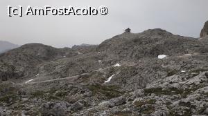 [P31]  -- <small>// FĂRĂ DESCRIERE</small> » foto by elenaadina
 - 
<span class="allrVoted glyphicon glyphicon-heart hidden" id="av1510820"></span>
<a class="m-l-10 hidden" id="sv1510820" onclick="voting_Foto_DelVot(,1510820,2211)" role="button">șterge vot <span class="glyphicon glyphicon-remove"></span></a>
<a id="v91510820" class=" c-red"  onclick="voting_Foto_SetVot(1510820)" role="button"><span class="glyphicon glyphicon-heart-empty"></span> <b>LIKE</b> = Votează poza</a> <img class="hidden"  id="f1510820W9" src="/imagini/loader.gif" border="0" /><span class="AjErrMes hidden" id="e1510820ErM"></span>